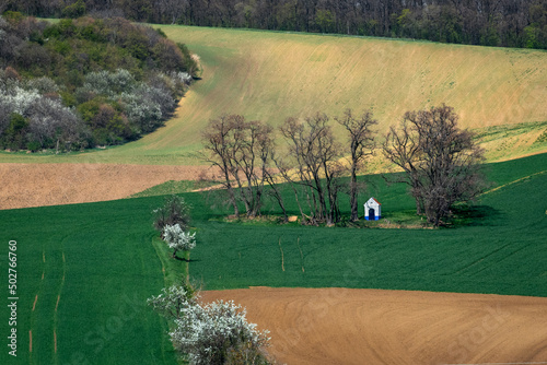 Beautiful green hills in spring