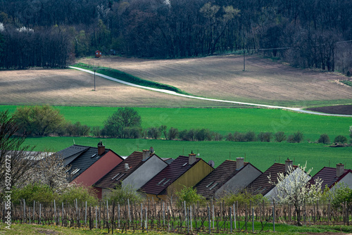 Beautiful green hills in spring