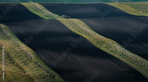 Beautiful green hills in spring