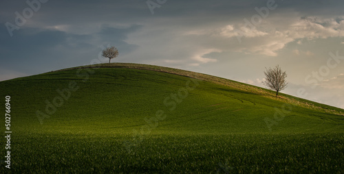 Beautiful green hills in spring