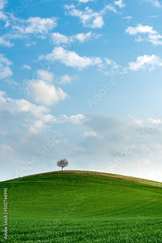 Beautiful green hills in spring