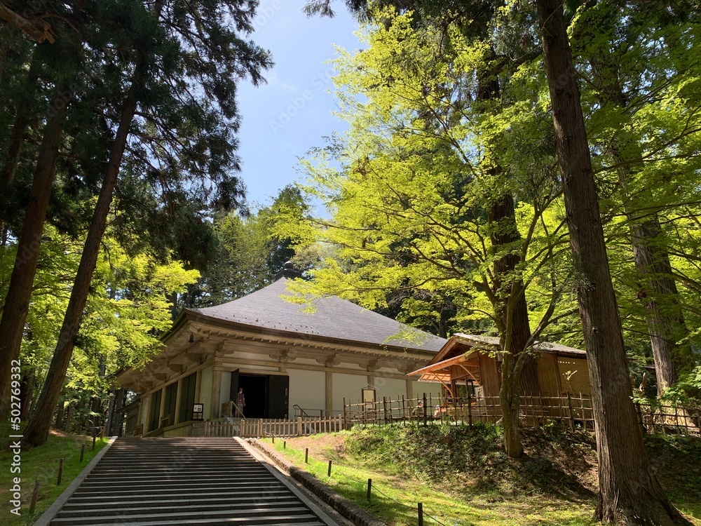 中尊寺の境内 中尊寺の境内