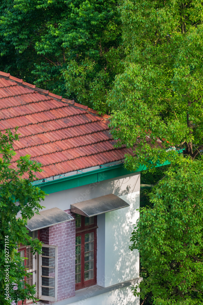 red roof house in forest