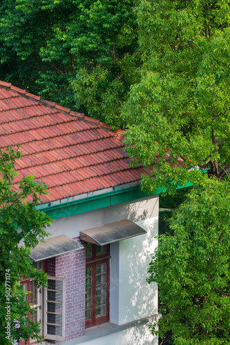 red roof house in forest