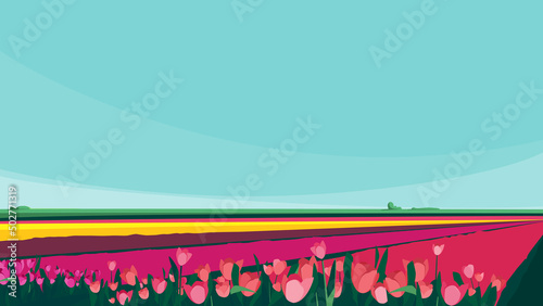 Fields with tulips of different colors. Beautiful nature landscape.