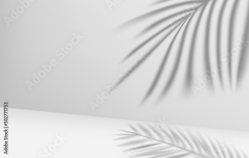 Bright room with shadow of leaves on the wall. 3d vector illustration
