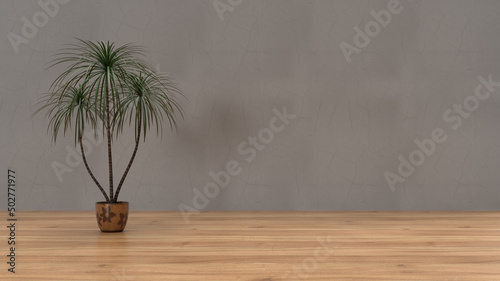 3d render interior bacground concert wall parket and palm plant