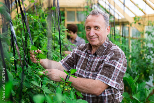 Portrait of elderly man posing in the greenhouse