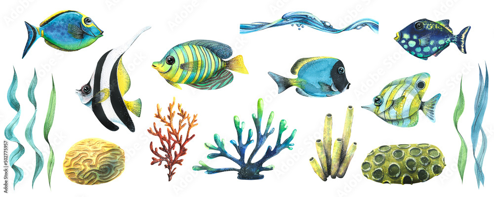 Watercolor illustration set with various tropical fish, algae, corals and sea sponges. Bright, juicy. For decoration and design of souvenirs, posters, postcards, prints, banners.