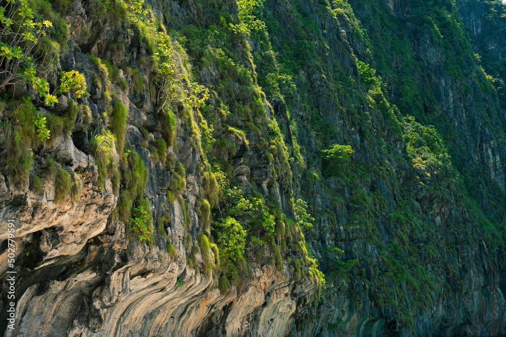 Closeup texture of Ko Hong cliff with rich of green trees at Krabi, Thailand