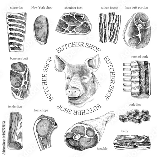 Hand drawn meat elements set. Butcher shop logo. 