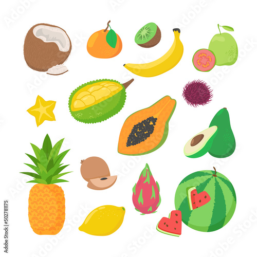 Fototapeta Naklejka Na Ścianę i Meble -  Vector set of tropical fruits isolated on white background. Vegetarian food. Exotic flat cartoon illustration.