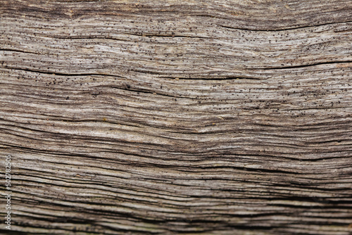 Old wooden texture board with line details background