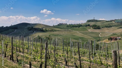 landscapes of the Piedmontese Langhe of Barolo and Monforte d'Alba with its vines in the period of spring 2022