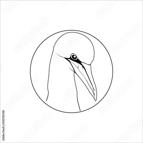 albatross icon. albatross linear symbol design from Animals collection Albatross logo icon design vector image photo