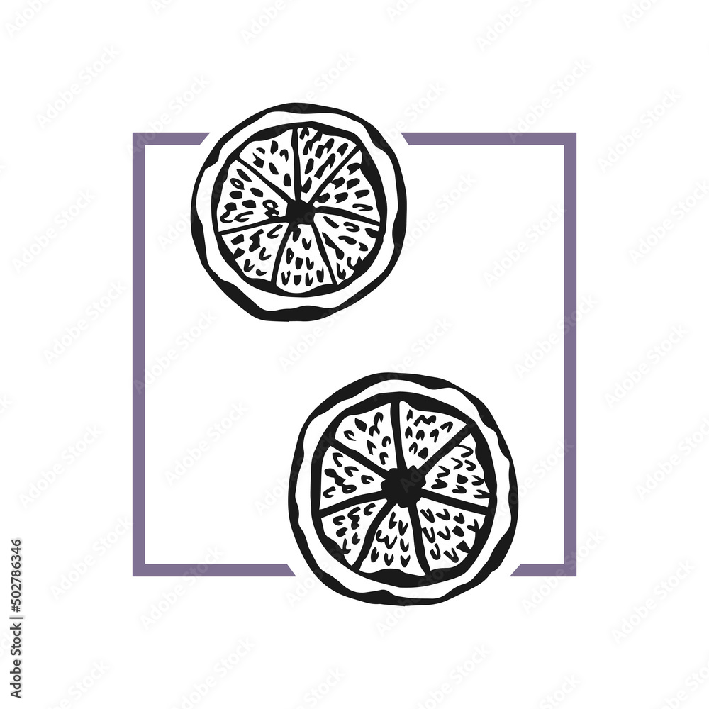 Vector fashion illustration of orange slices. Trendy minimalistic poster.