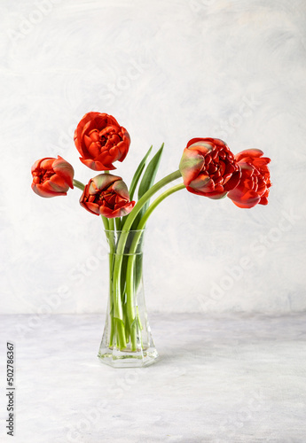 Bouquet of red tulips on a light background. Copy space