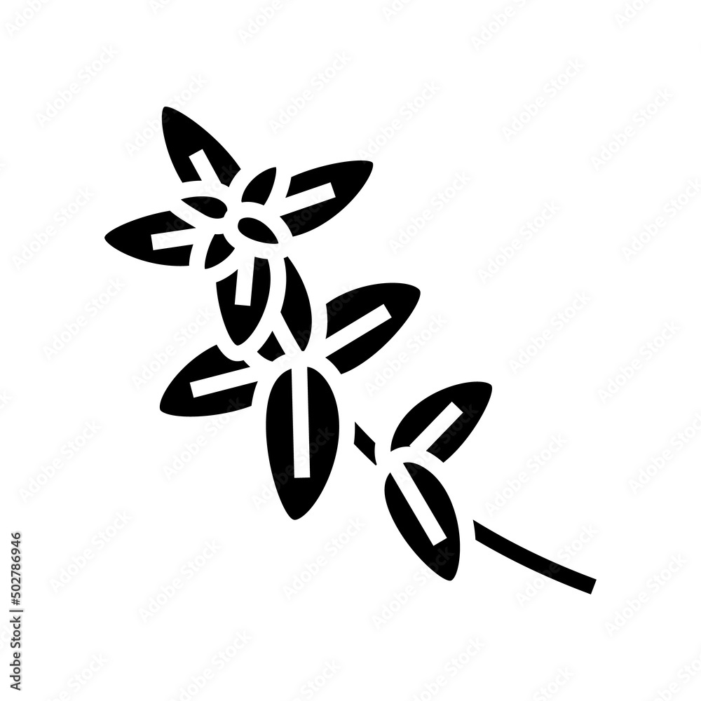 oregano plant branch glyph icon vector. oregano plant branch sign. isolated contour symbol black illustration