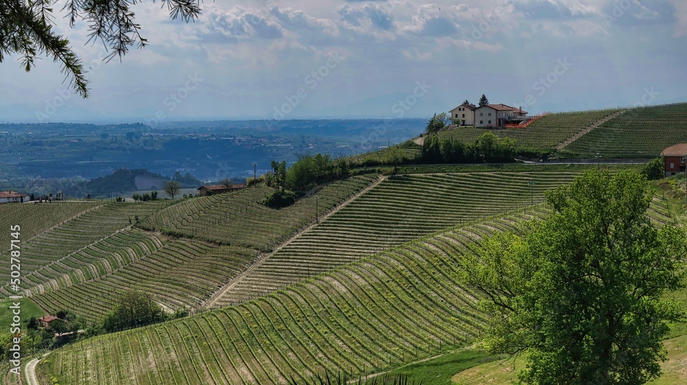 the Piedmontese Langhe between Barolo and Monforte d'Alba in spring in 2022