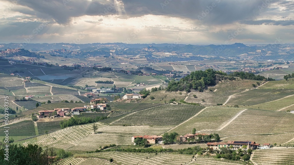 Naklejka premium landscapes of the Piedmontese Langhe of Barolo and Monforte d'Alba in spring, in 2022