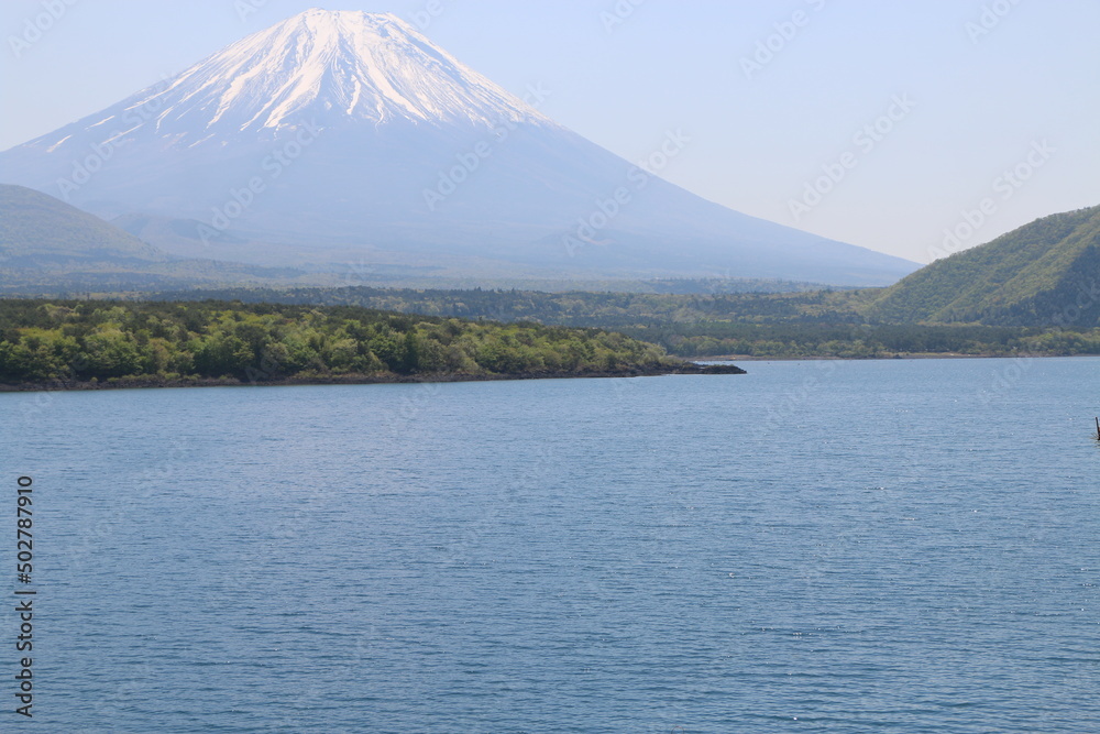 Obraz premium 本栖湖と富士山