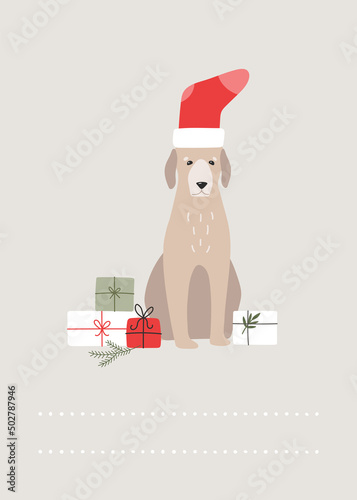 Cute card with dog in a sock.  Christmas holidays, gift boxes. Funny illustration, new year character