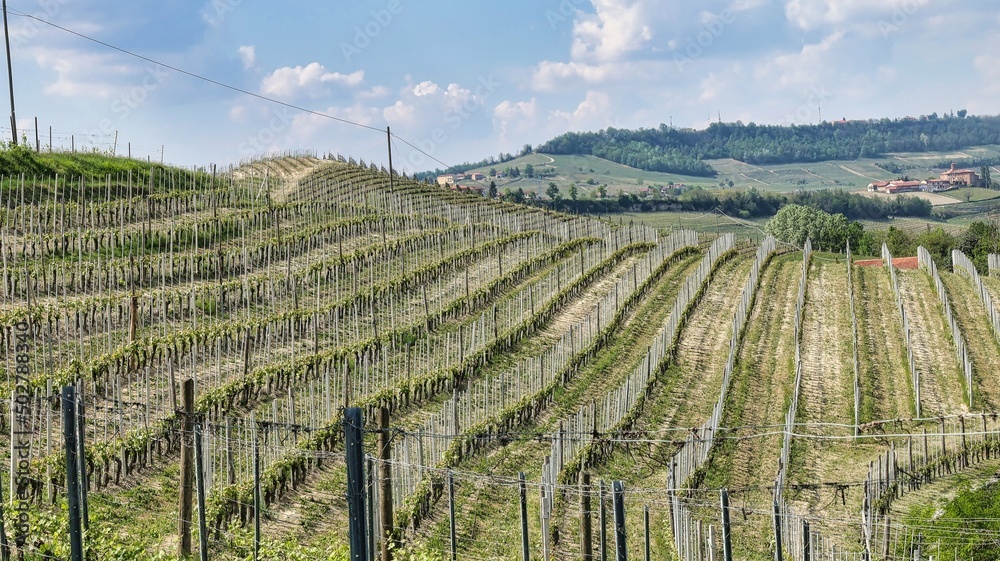 the landscapes of the vineyards and the countryside of the Piedmontese Langhe near Barolo and Monforte d'Alba in spring