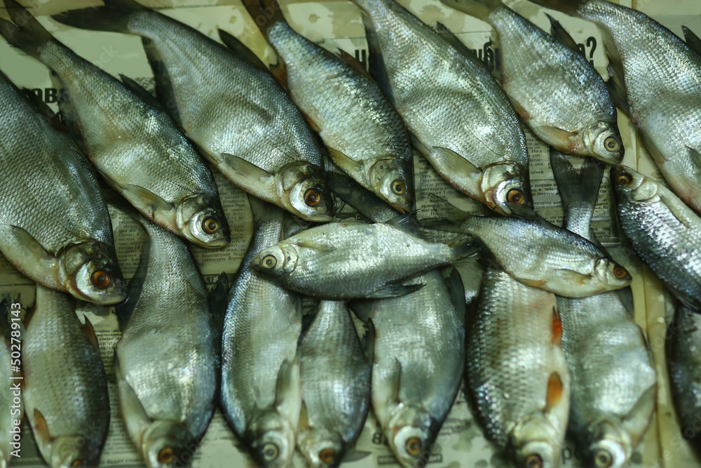 Obraz premium Flat lay of freshwater fish drying in the sun