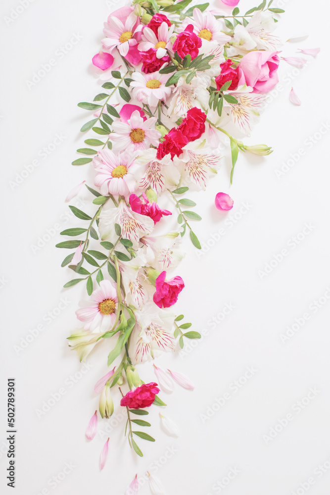 beautiful pink and white flowers on white background