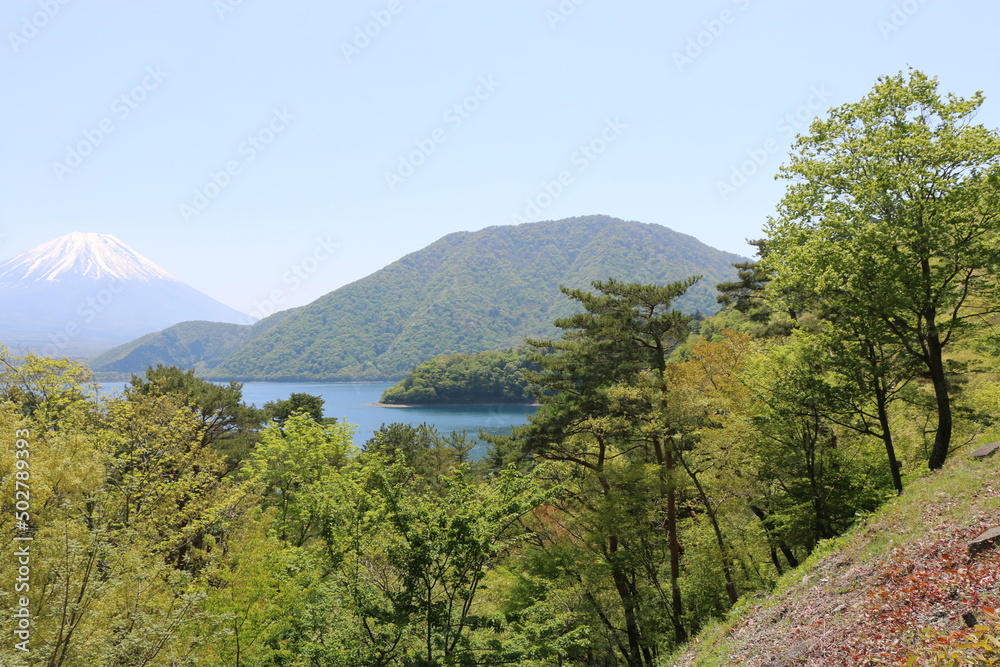 Obraz premium 山