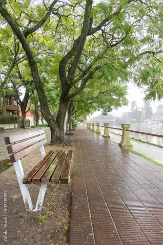 City bench under a tree in a rainy day close to a river at Carmelo, Colonia, Uruguauy photo