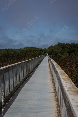 Wetland wooden walk way leading into the distance under a stormy sky © Cynthia
