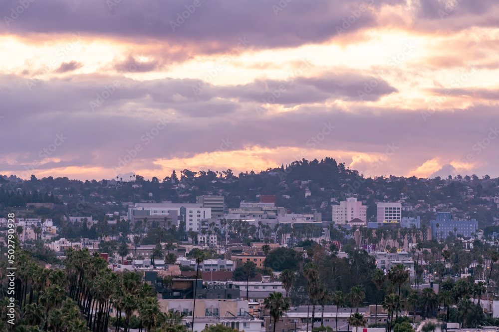 Obraz premium Rooftop view of residential homes in the Hollywood Hills of Los Angeles, California, USA at sunrise