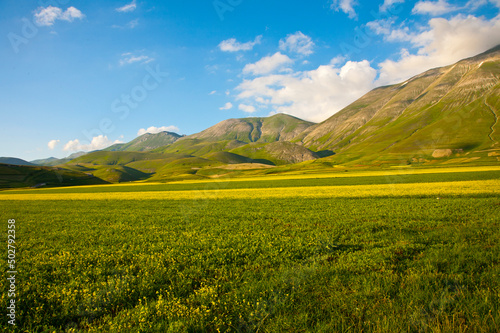 Castelluccio di Norcia, fioritua