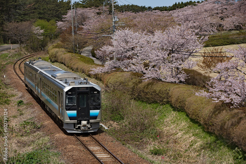 Happou Akita Japan-24 April 2022.Gono line and cherry blossom. photo