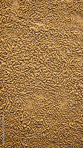 pattern of gold beach sand