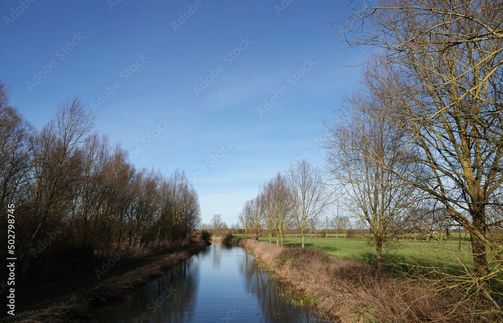 A scenic view of the river Chelmer in Essex under a blue sly. A scenic view of the river Chelmer in Essex under a blue sly.