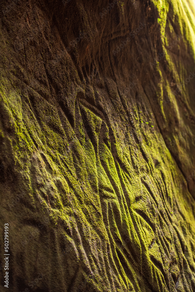 Inside the edakkal caves are pictorial writings believed to date to at least 6,000 BCE, from the Neolithic man,. Inside the edakkal caves are pictorial writings believed to date to at least 6,000 BCE, from the Neolithic man,.