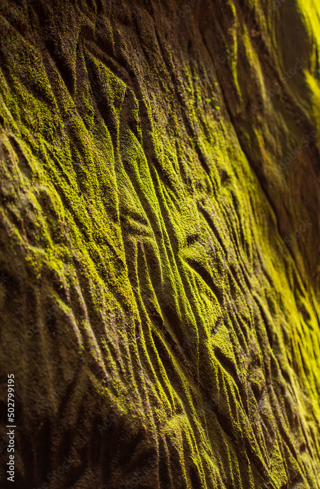 Inside the edakkal caves are pictorial writings believed to date to at least 6,000 BCE, from the Neolithic man,. Inside the edakkal caves are pictorial writings believed to date to at least 6,000 BCE, from the Neolithic man,.
