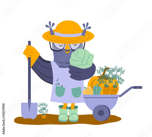 Owl in a hat and boots holds a cabbage and a shovel. There are carrots, peppers and pumpkin in the cart nearby. The owl is harvesting. Cartoon vector illustration, isolated on white background. photo