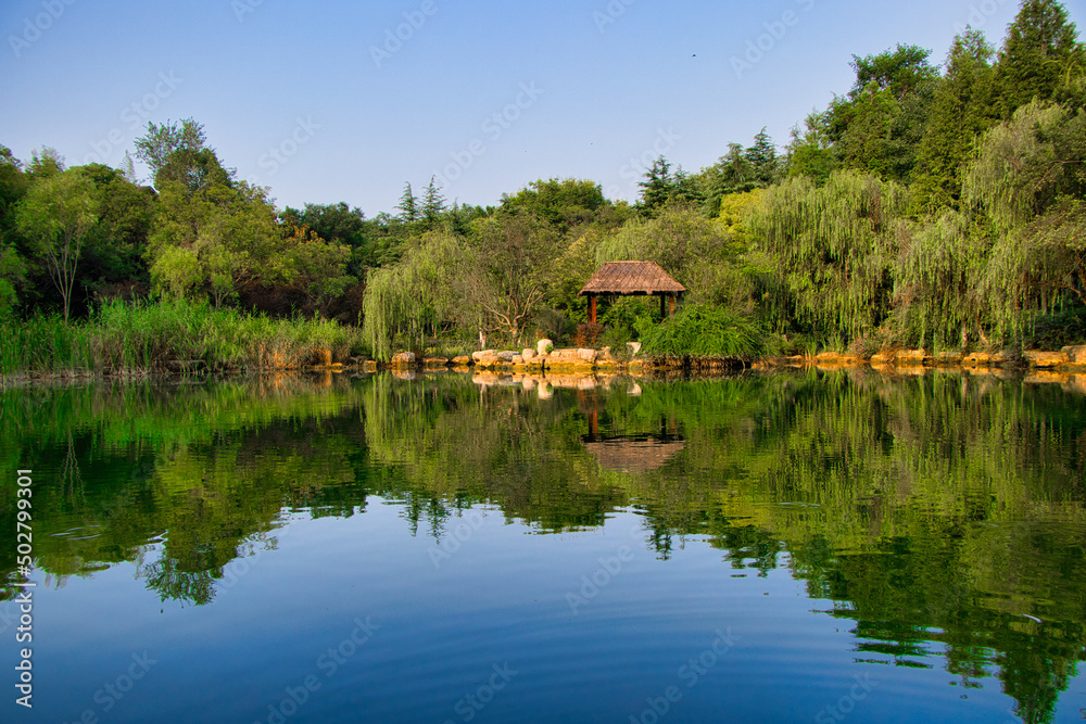 lake in the forest