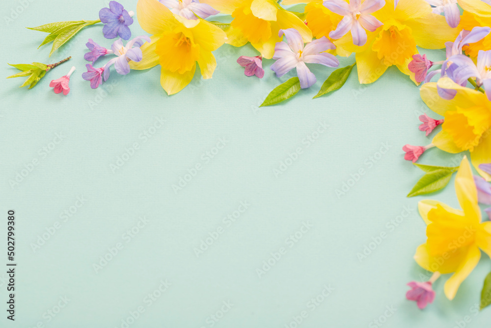 spring flowers on green papper background spring flowers on green papper background