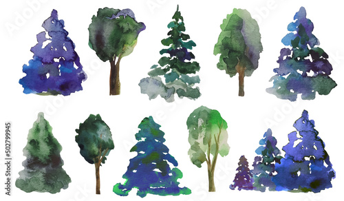 watercolor illustration tree, green forest, pine, spruce, birch, oak, walnut, maple, landscape design