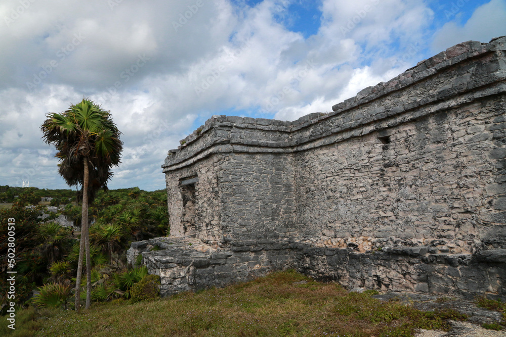 The House of The Cenote - Mayan ruin in archaeological site in Tulum, Mexico