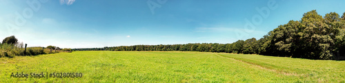 Weide im Sommer am Waldrand - Wiese mit B  ume Panorama
