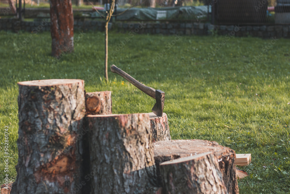 Traditional wooden axe with an iron hilt stuck into a wooden trunk. Outdoor life of a woodcutter