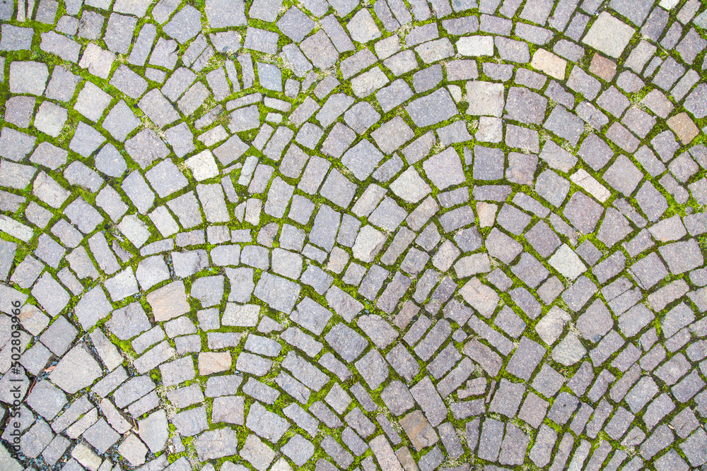 Elaborate sidewalk paving laid with natural header stones or cobblestones in a beautiful round pattern, surrounded by grass and pebbles - close up, garden design, landscaping and road building texture