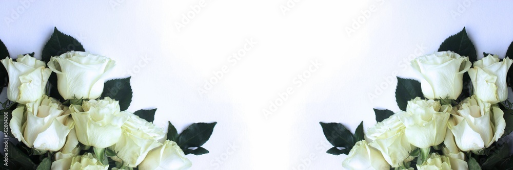 White roses on a white background. Festive flower arrangement. Background for a greeting card.