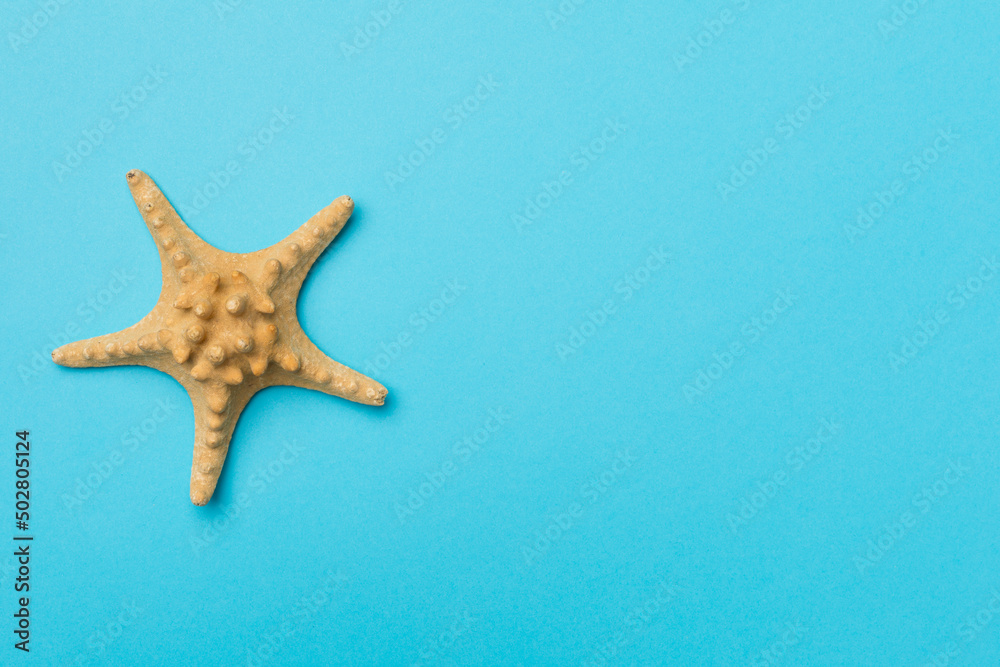 Starfish on color background, top view Starfish on color background, top view