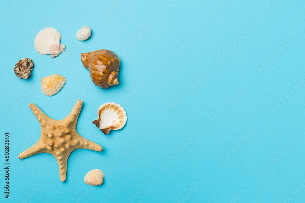 Sea shells on color background, top view. Summer concept Sea shells on color background, top view. Summer concept